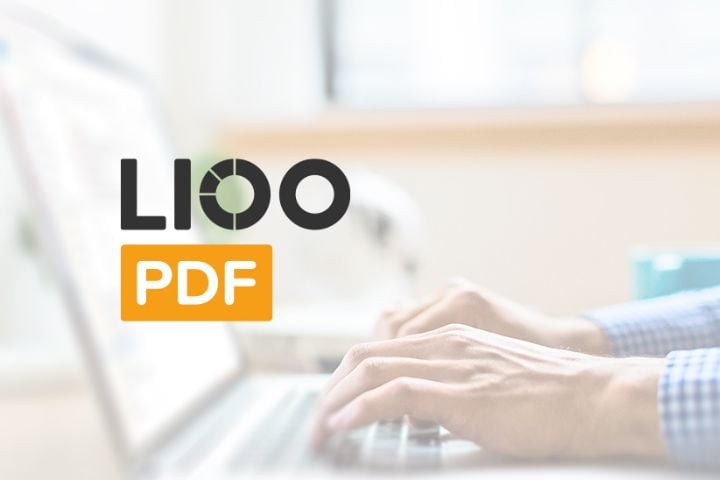 L100 PDF Logo