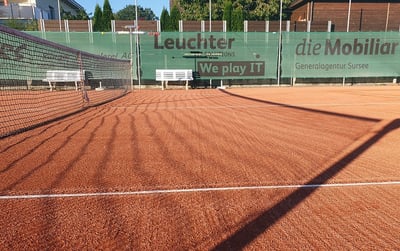 Tennis Club Sempach_Rasen