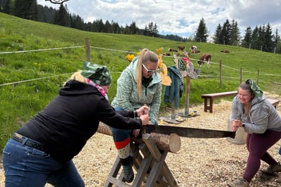 Badminton Klub Dierikon 4