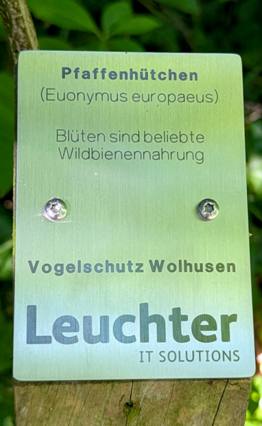 Beschriftung Waldpfad Leuchter