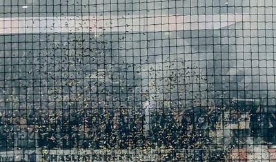 EVZ_Finale_4-680x400