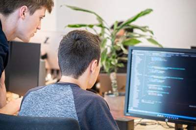 Softwareentwicklung