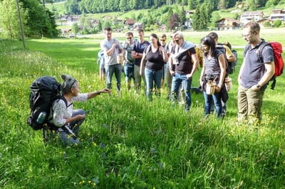 Natur pur - Kochen auf Feuer