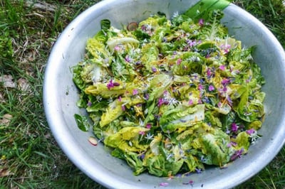 Natur pur - Kochen auf Feuer