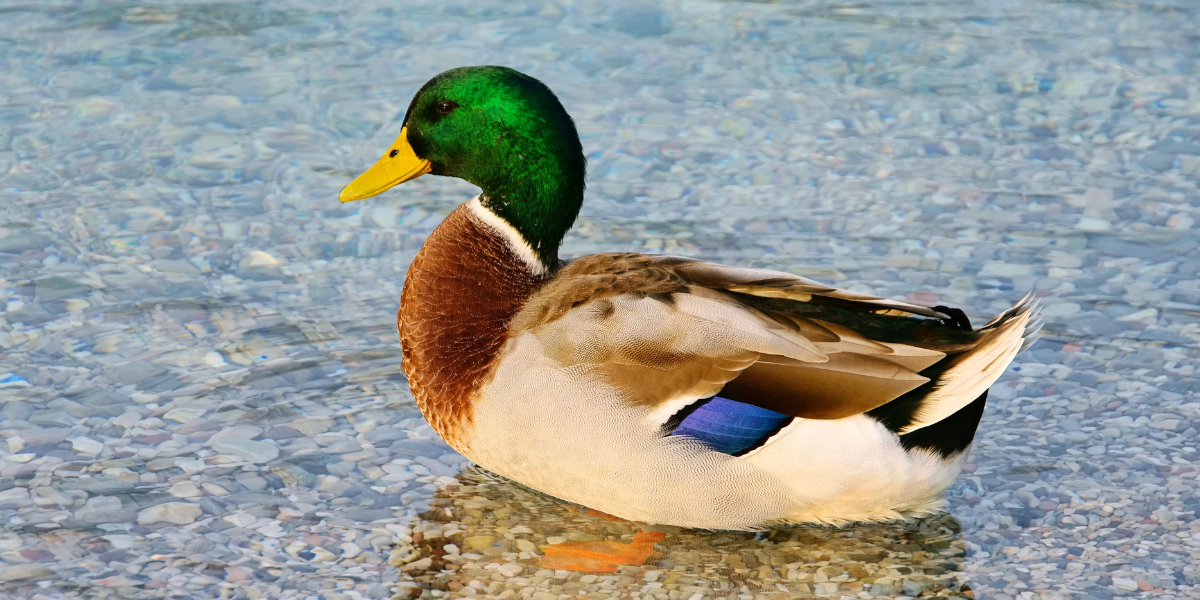 SE_Blog_Servicedesk_Microsoft 365