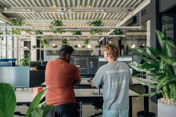 Zwei IT-Mitarbeiter bei der Zusammenarbeit im begrünten Büro.