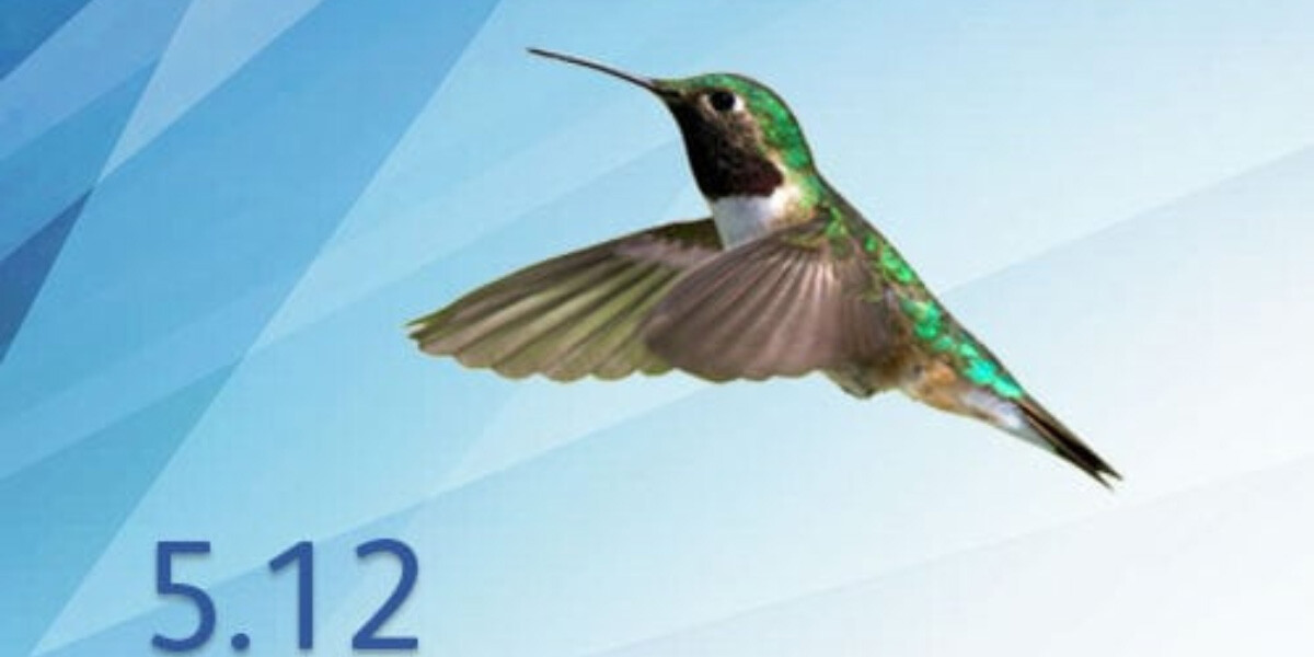 Docugate-Kolibri auf blauem Hintzergrund