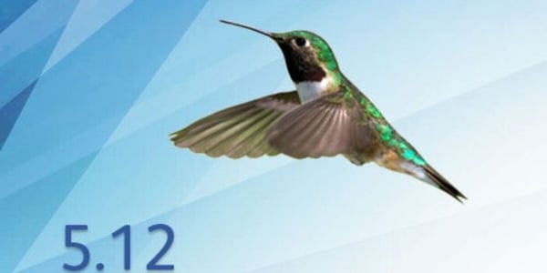 Docugate-Kolibri auf blauem Hintzergrund