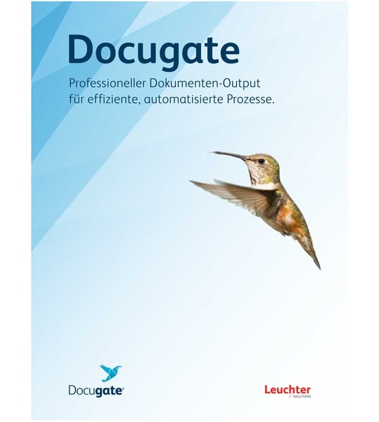 Docugate Flyer