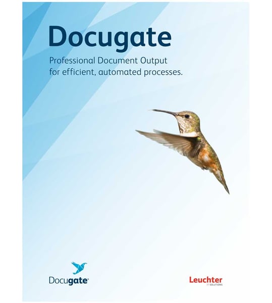 Flyer Docugate