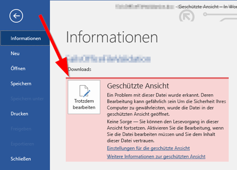 word_informationen_geschuetzte_ansicht