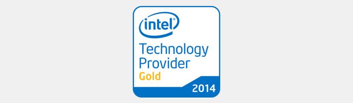 Intel Technology Provider Gold