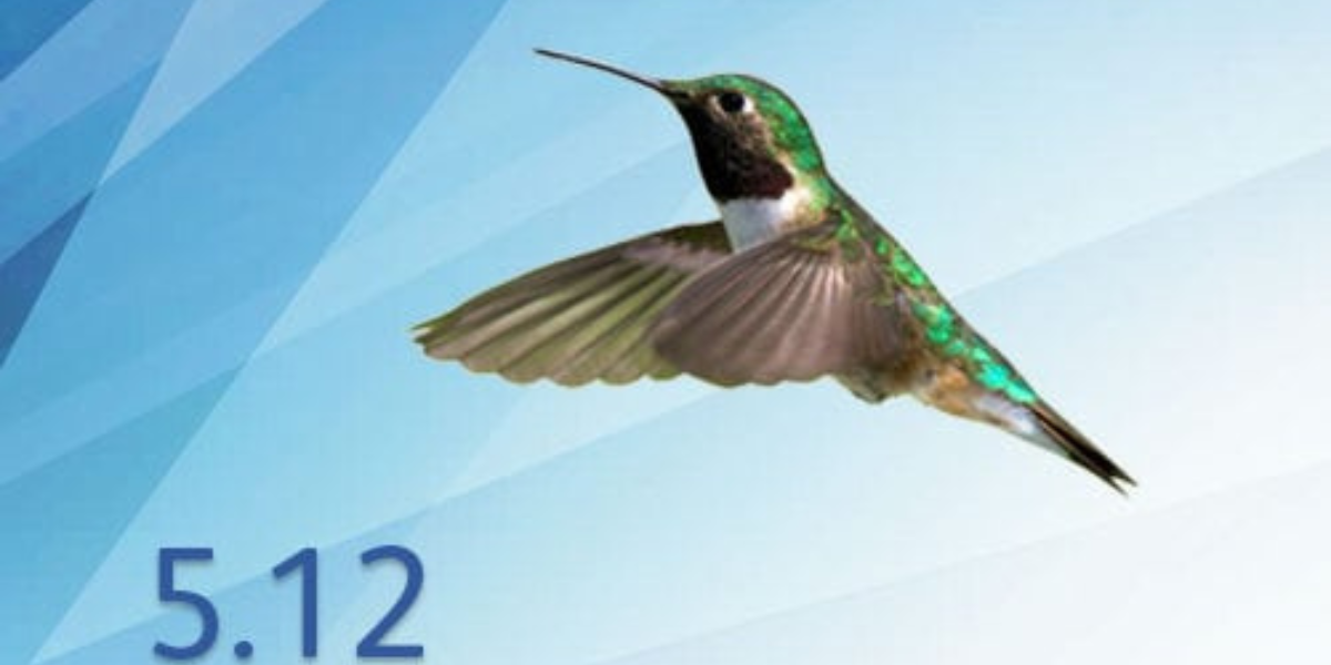 5.12 und ein Vogel